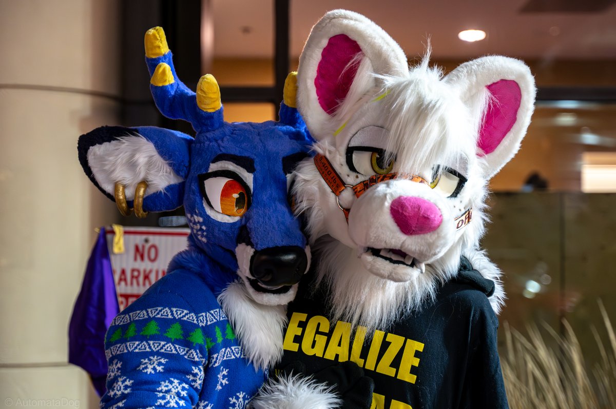 Mango and Ras at MFF23

🦌: <a href="/whitetailmango/">Bleat Jesus</a> 
🐕: <a href="/Ras_Shibe/">Toyota Ras4</a> 

#Furry #Fursuit #MFF2023 #MFF #FursuitFriday #FursuitEveryday #FurryArt #FurryArtist