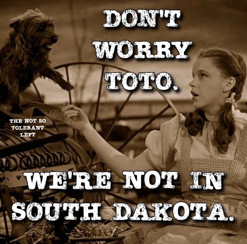 There’s a mass exodus of puppies from South Dakota before Kristi Noem shoots them…..