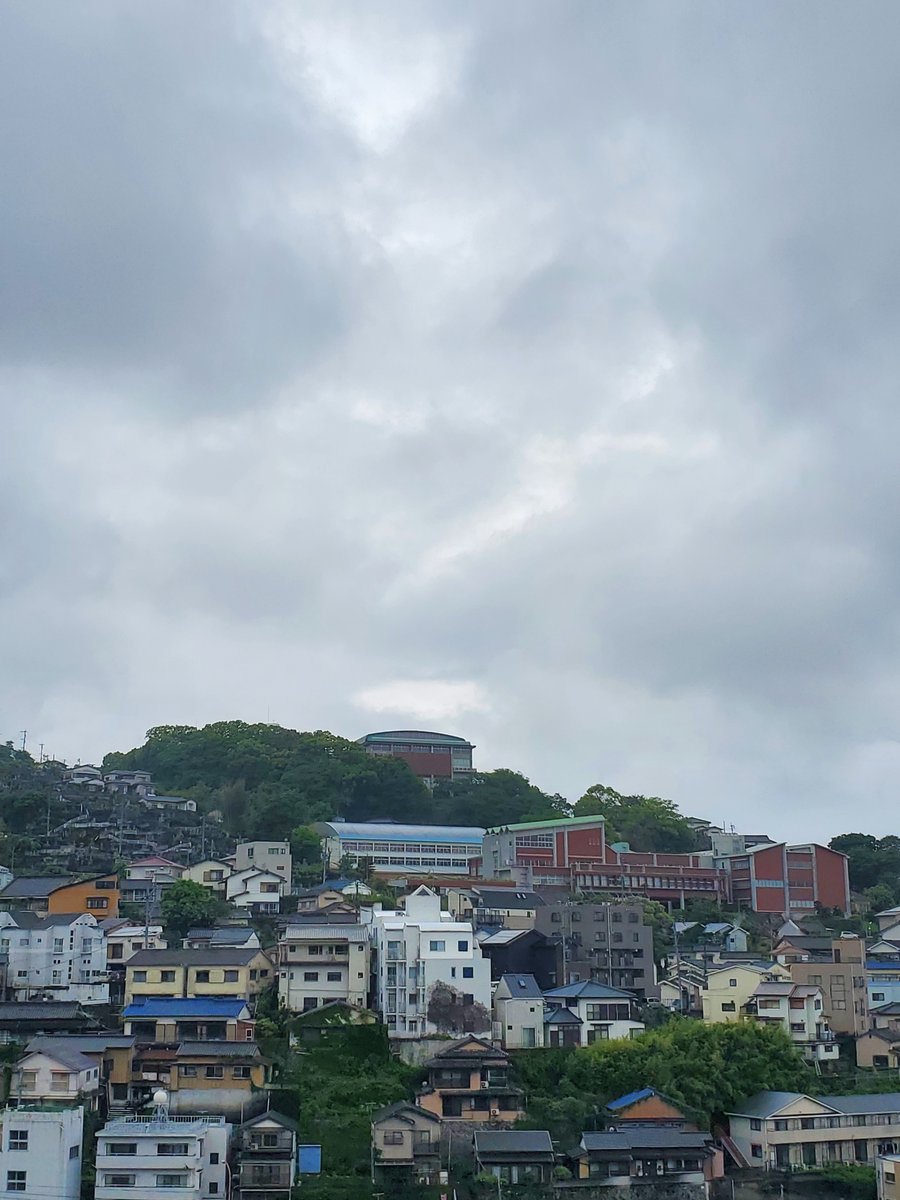 pri70892395's tweet photo. 本日は曇り一時雨☁️
イチハツ
薄紫色の綺麗なお花です💜
外花被にある白いトサカのような突起が特徴です🐔
”アヤメ科の中で一番早く咲く”  といわれる事から「一初」と名づけられたようです
花言葉は「使者」 「付き合い上手」 「火の用心」

＃イマソラ　＃イチハツ https://t.co/2qdizW5Axb