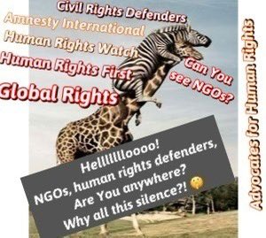 Hellllllloooo! NGOs? Human rights defenders! Are You alive? Why all this silence?! 🤫 ዓለም ደንዳኒት! Amnesty International UN Human Rights Council Human Rights Watch Civil Rights Defenders Global Rights Human Rights Foundation Human Rights First The Advocates for Human Rights