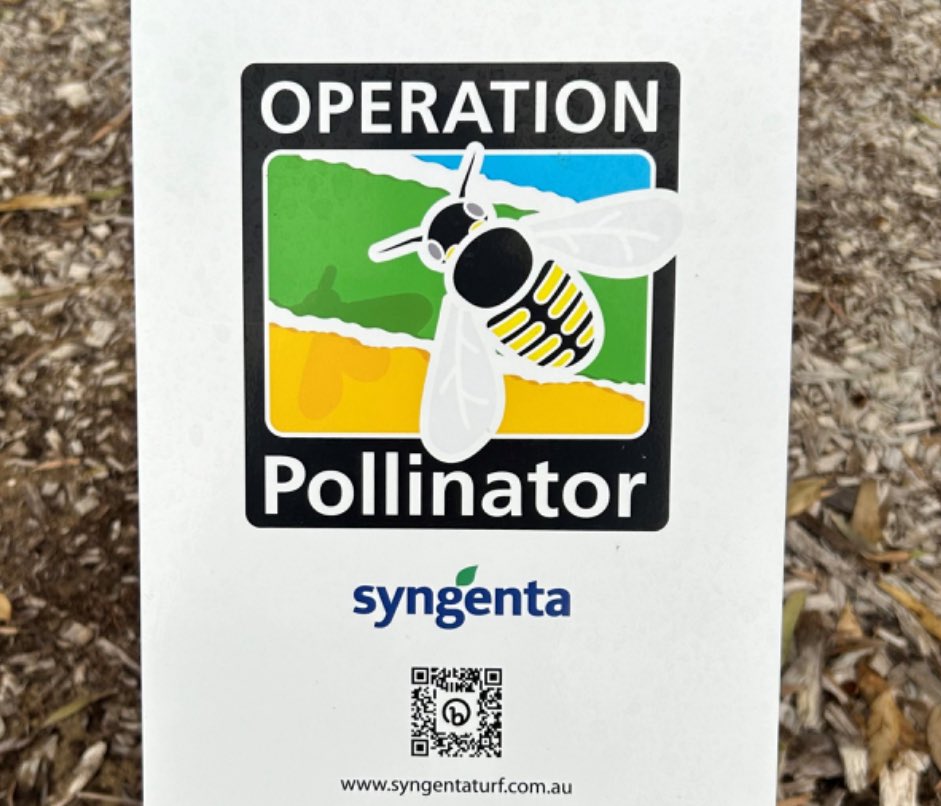 Story of the day:
Golf courses are vital green spaces in cities yet also important for pollination.

<a href="/GolfWembley/">Wembley Golf Course</a> getting involved with operation Pollinator a global initiative to improve pollination rates
<a href="/GolfAust/">Golf Australia ⛳️</a> <a href="/GolfWestAust/">GolfWA⛳️</a> <a href="/karenharding123/">Karen Harding</a> 

syngenta.com/en/sustainabil…