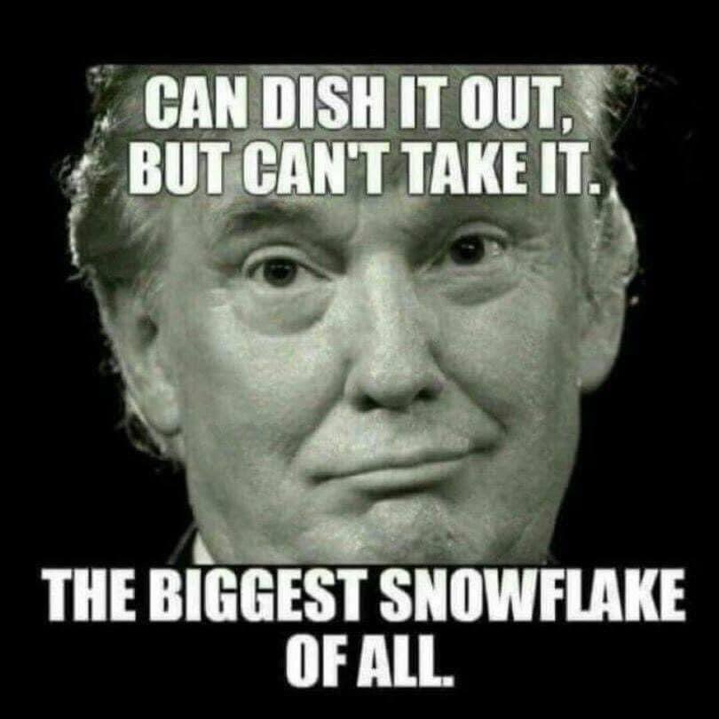 Did someone say the word: SNOWFLAKE? 👇

😂😂😂