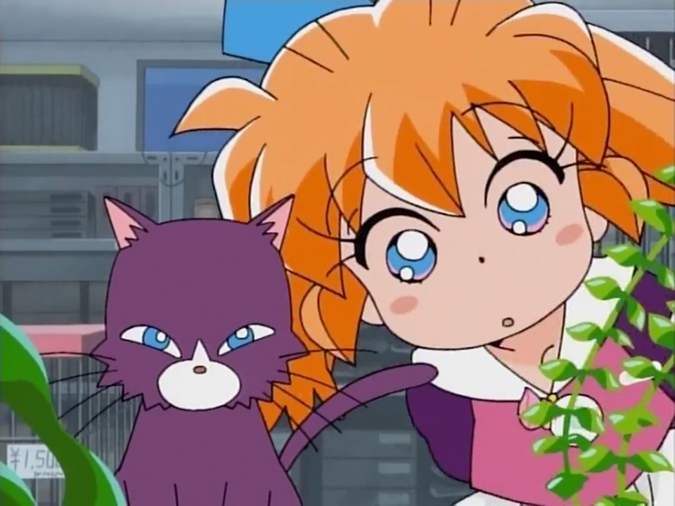 今日から5月だね〜😄🎏 画像はファーマシィーのアニメ「おさんぽニボシ