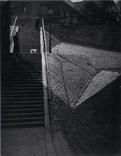 Brassaï. 
Le chien blanc des escaliers de Montmartre 
Années 1930. Paris