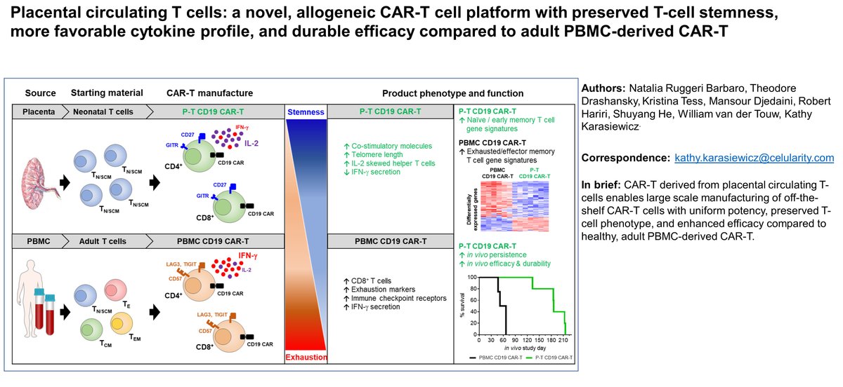 New #JITC article: Placental circulating T cells: a novel, allogeneic CAR-T cell platform with preserved T-cell stemness, more favorable cytokine profile, and durable efficacy compared to adult PBMC-derived CAR-T bit.ly/3JIfoxa @KaskaK21