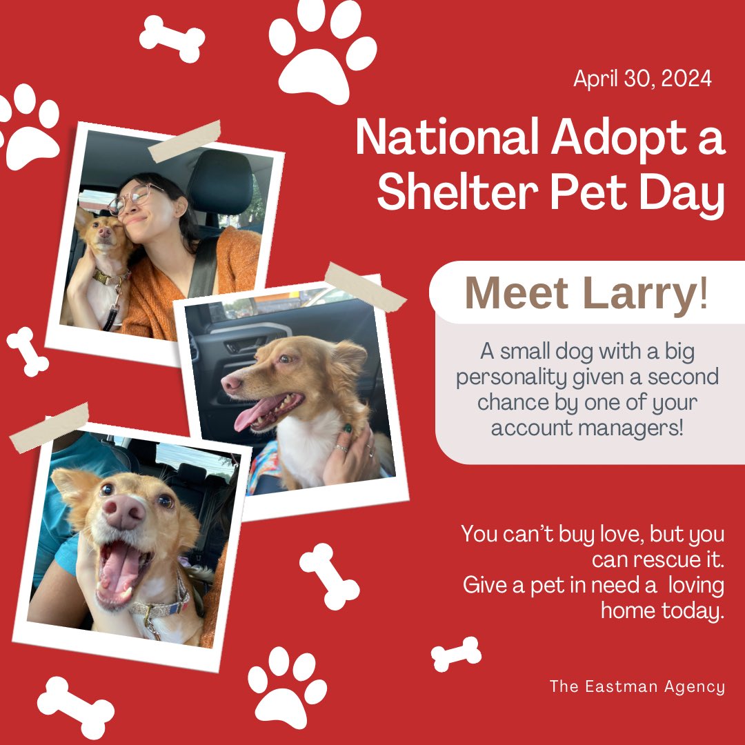 Today is National Adpot a Shelter Pet Day! ❤️🐾

#InsuranceAgent #adoptashelterpet #mysatxagent #adoptdontshop #theeastmanagency #sanantoniotexas #texasinsuranceagent #southtexasinsuranceagent