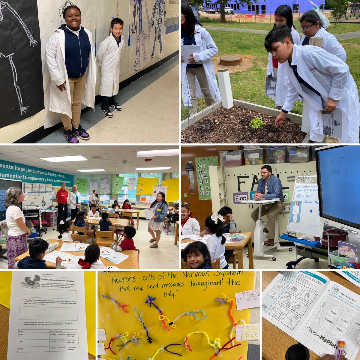 Exceptional visit to Health Sciences Academy @EastESNC! 2nd graders exploring senses&nutrition, 4th graders building helmets to prevent concussions, Ambassador-led garden visit, topped off by student shout-outs! WOW! 👏🏻🤩 #partnership @AtriumHealth @AGHoulihan
