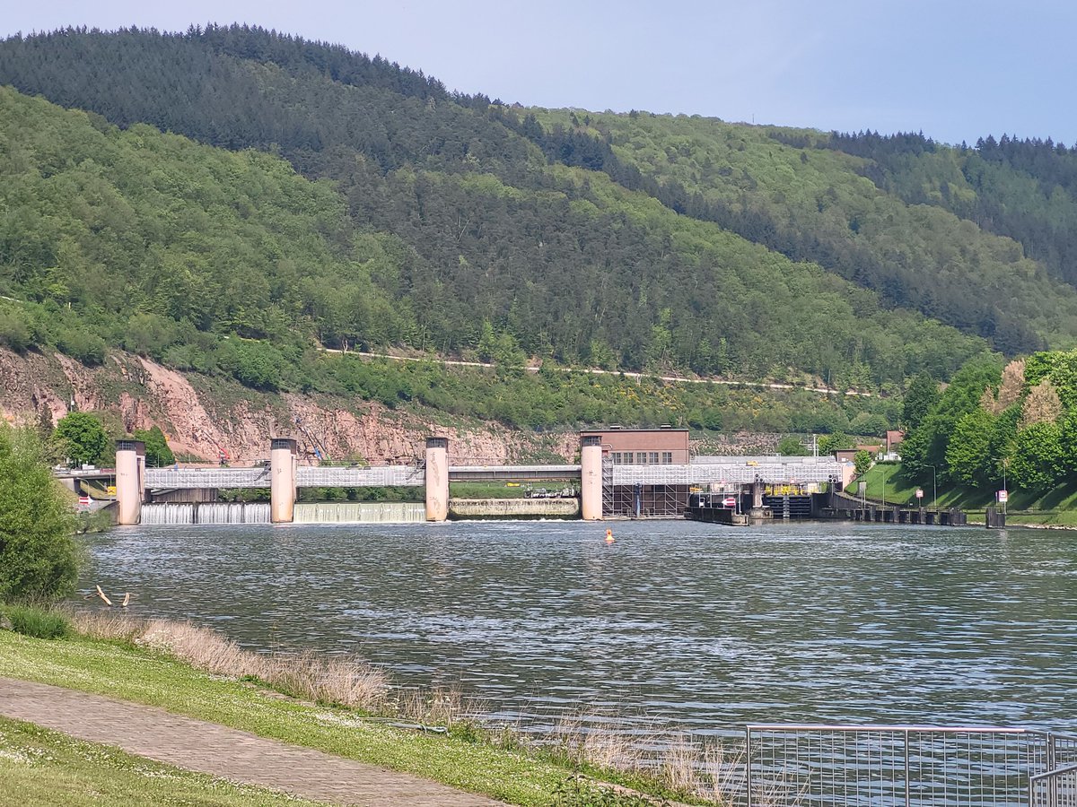 Made it as far as Heilbronn on the upper Neckar. A carnival is in town so plenty of buzz but I don't have the energy to go check it out.....  some images from the ride up along the river on what was mostly high quality greenway with some on quiet roads.