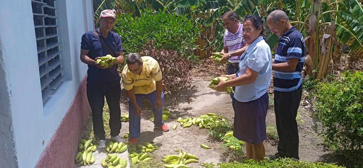 💯Día de Producción 🌱
En saludo al 1ro de mayo el #cumpilón realizó la entrega a todos sus trabajadores de viandas del área de autoconsumo del centro cumpliendo con la Ley SAM
#cumpilón
#UniversidadDeGranma
#municipiopilon
#SaberEsTrascender
#PorCubaJuntosCreamos
#GranmaVencerá