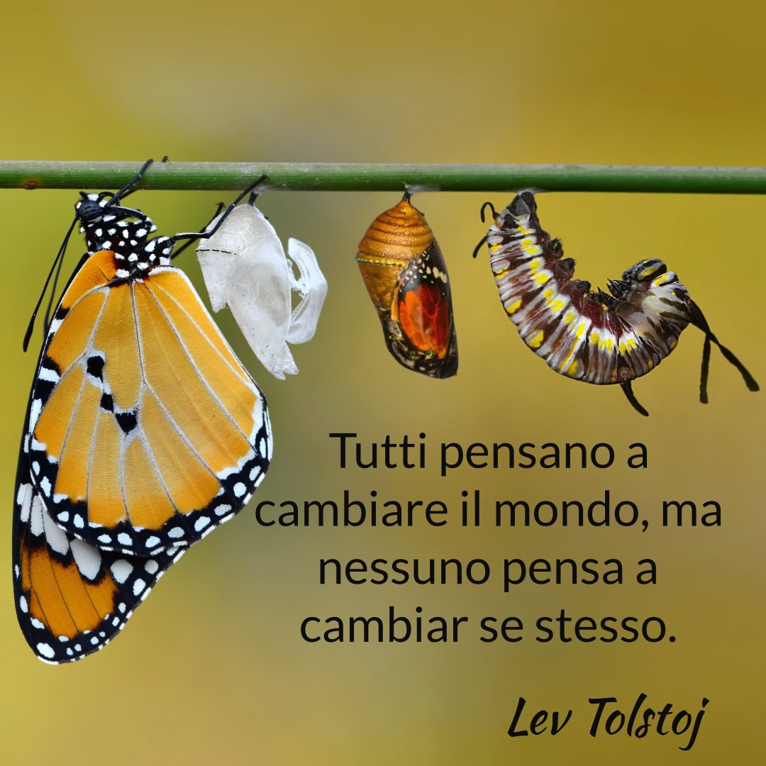 wix.to/8QxMzZJ
#Danarash #HumanityAssistance #limpattodelcambiamento
.
.
.
#bethechange #cambiatestessopercambiareilmondo #LevTolstoj