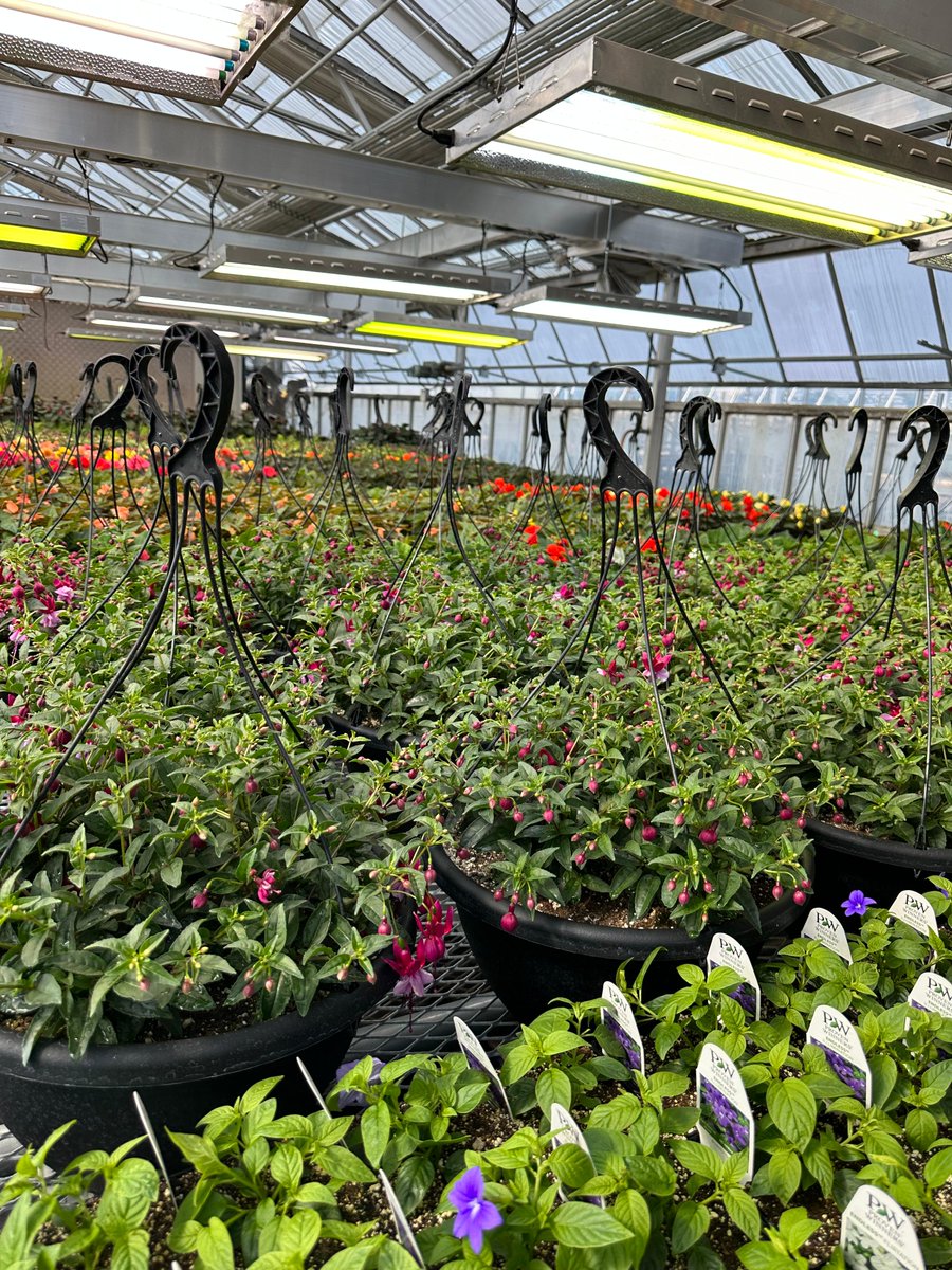 Looking for a memorable Mother's Day gift for all the special women in your life? 🎁 Get them something special from our Muttart online plant sale! The plant sale runs from May 1-7 at MoveLearnPlay.MyBigCommerce.com Limited curbside pick-up times are available.