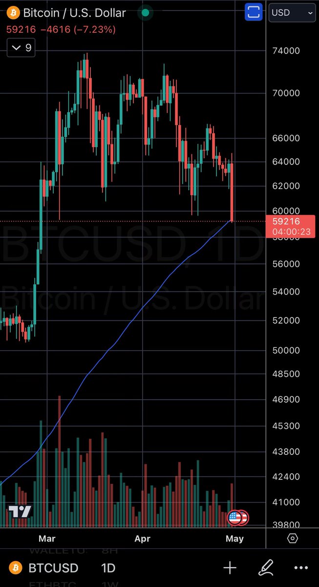 doge2097 tweet media