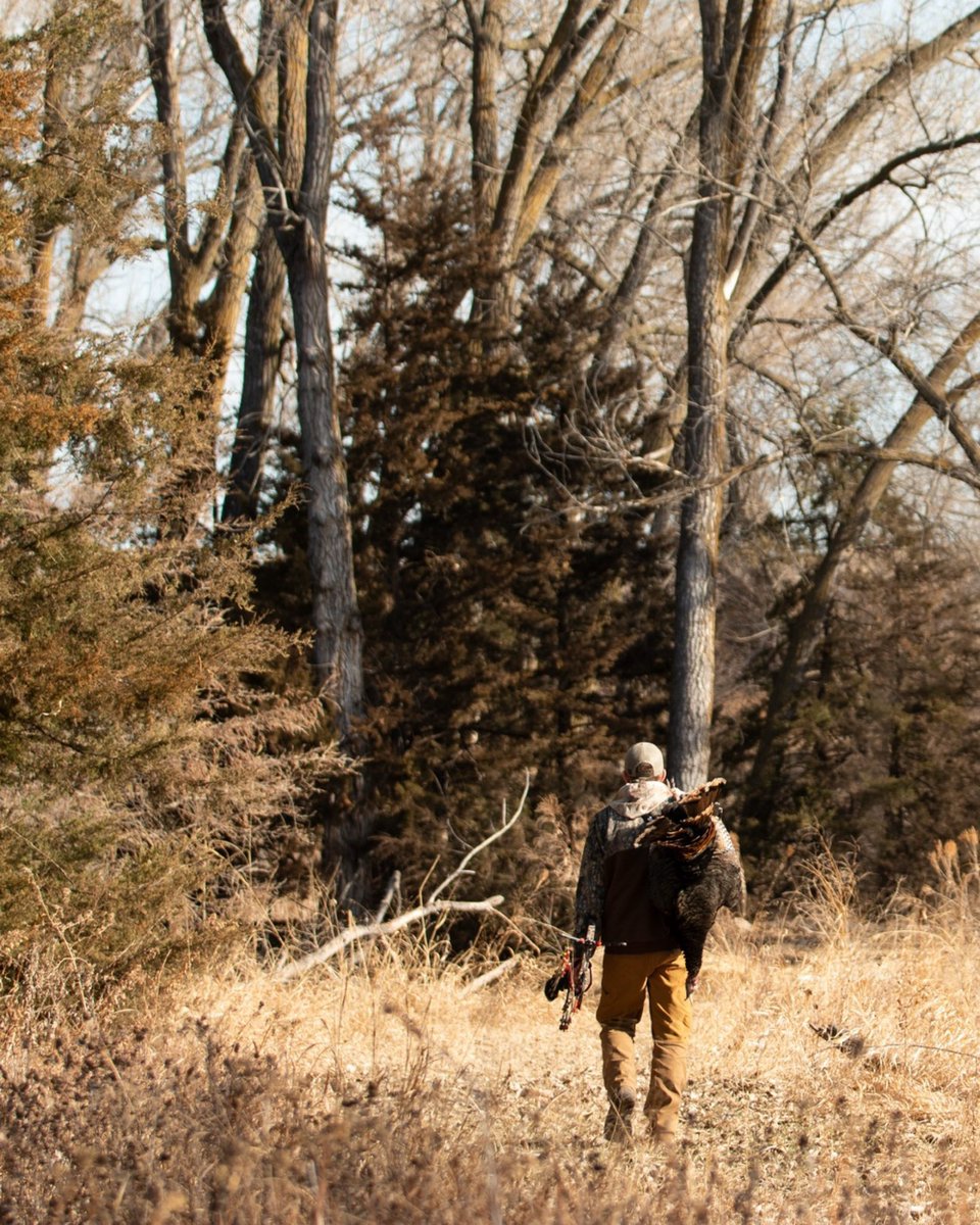 pheasants4ever tweet picture