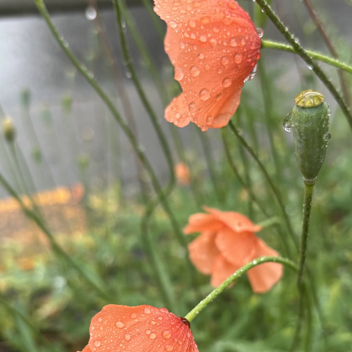おはようございます🌈
あっという間に５月です。

今月もよろしくお願いします😊✨
皆様にとって素敵な５月となりますように

今月はとにかくひたすら前進あるのみ！
頑張ります👍
#おはツイ
#相互フォロー
#フォロバ
怪しい垢以外