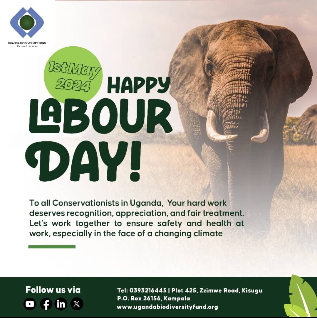 Happy Labour Day! To all Conservationists in Uganda, Your hard work deserves recognition, appreciation, & fair treatment. Let's work together to ensure safety & health at work in the face of a changing climate.#LabourDay2024 #conservation #biodiversity @nemaug @min_waterUg