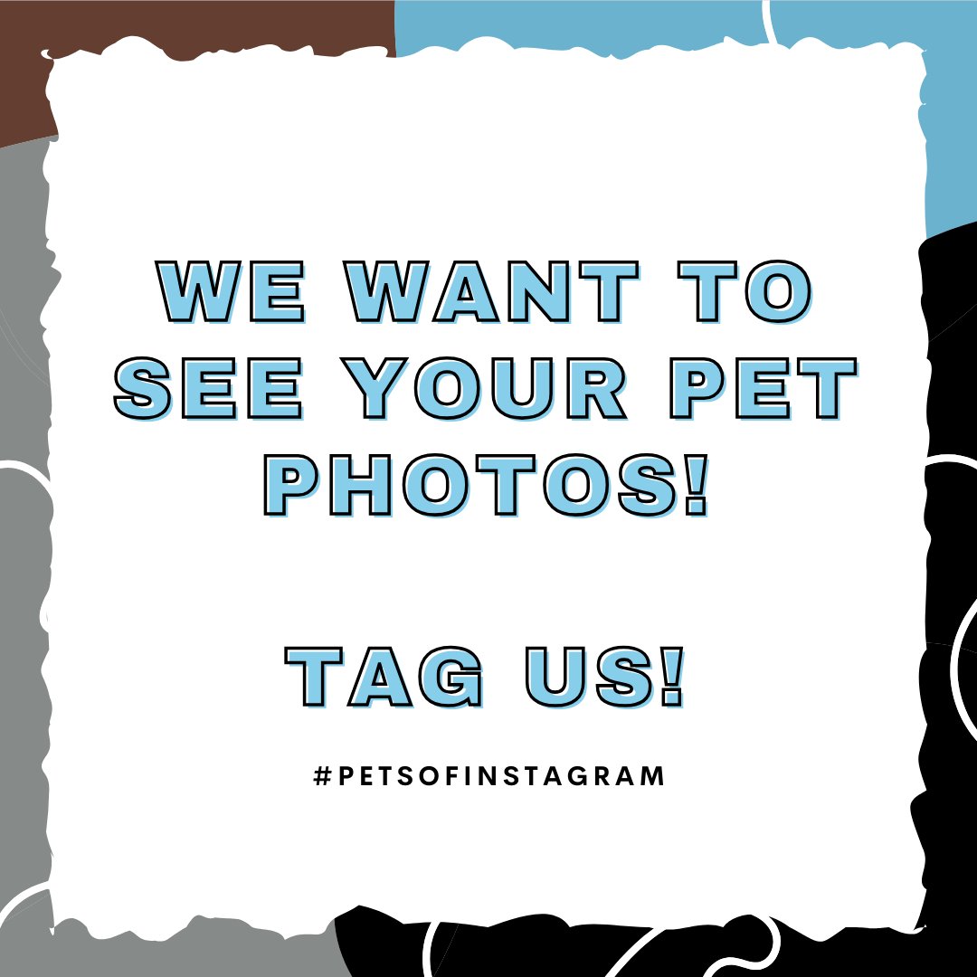Who's the real star of your household? 🌟 Share a pic of your beloved furry friend and let's spread some pet love! 🐾 Don't forget to tag us and use #PetsofInstagram #FurryFriends #LoveMyPet. Can't wait to see all the adorable faces! 😍