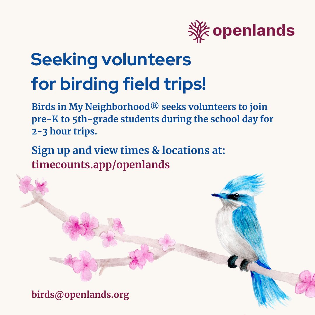 Birds in My Neighborhood is searching for volunteers to join us on field trips on weekdays to teach students about native birds of the region to bring nature into the curriculum. Sign up and learn more: ow.ly/riwA50RsEU8
