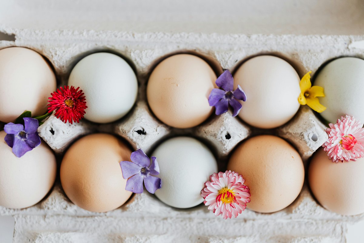 The @USDA Agricultural Marketing Service is seeking nominees for the American Egg Board! Learn more information, including how to nominate someone, at the link below. The deadline for nominations is Friday, May 17th! #NCAgriculture More info: loom.ly/tYaveiQ