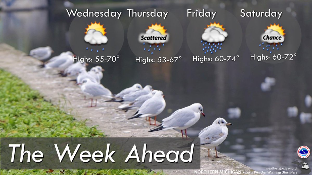 Temps expected to remain near to slightly above normal thru the rest of the week; periodic chances for showers and maybe a rumble of thunder. #miwx #northernmichigan #beachchickensinthebackground
