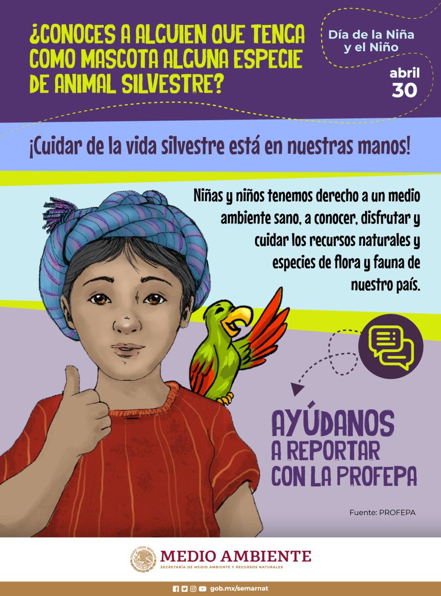 ¿Conoces a alguien que tenga como mascota alguna especie de animal silvestre? 🐒🐺🦎🐾🦜🐆 Cuidar de la vida silvestre está en nuestras manos. Ayúdanos a reportar con la @PROFEPA_Mx.