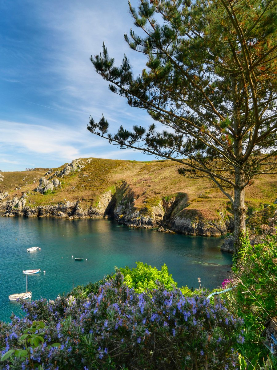 Cap Sizun 💙

#Finistere #Bretagne #bzh #breizh #MagnifiqueBretagne #landscapephotography #MagnifiqueFrance #capsizun