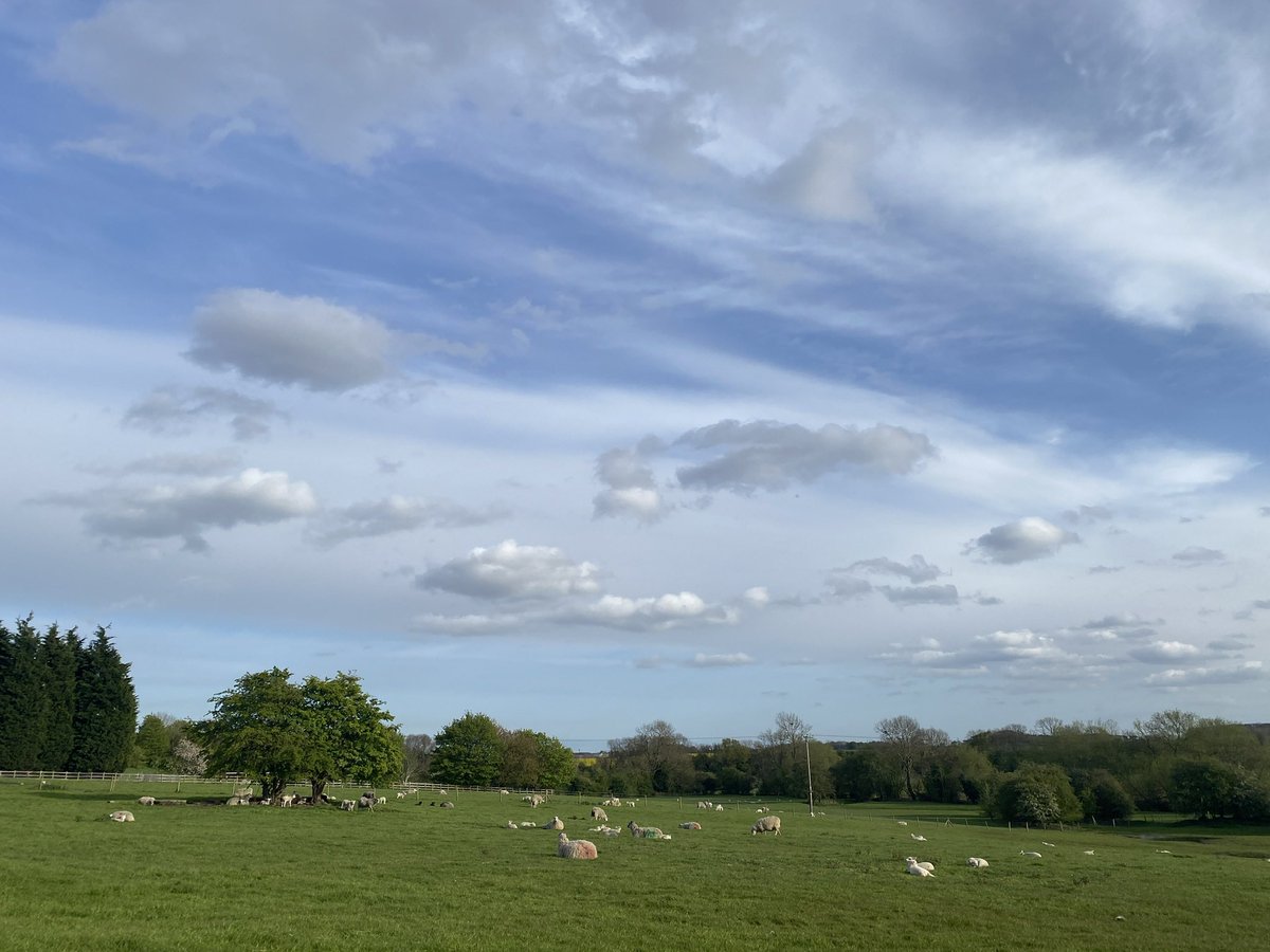 Living a geographers dream 🐑☁️💕