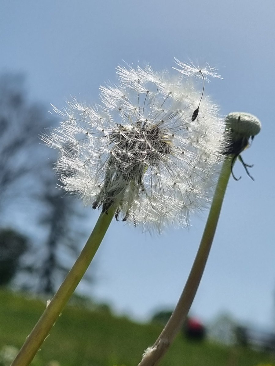 Zeit für Träume. Schnappt euch ein Schirmchen und fliegt mit ihm an einen Ort, den ihr euch wünscht.