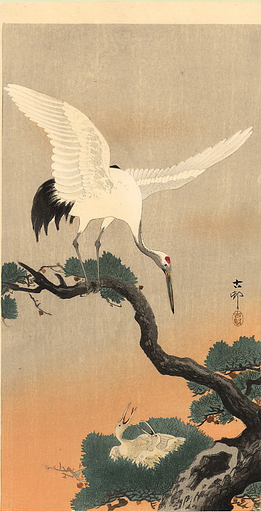 Crane over his nest, by Ohara Koson, late 19th-early 20th century

#shinhanga