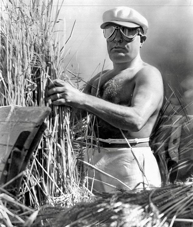 Mussolini helping out with the harvest in Apulia. Really an immaculate aesthetic.