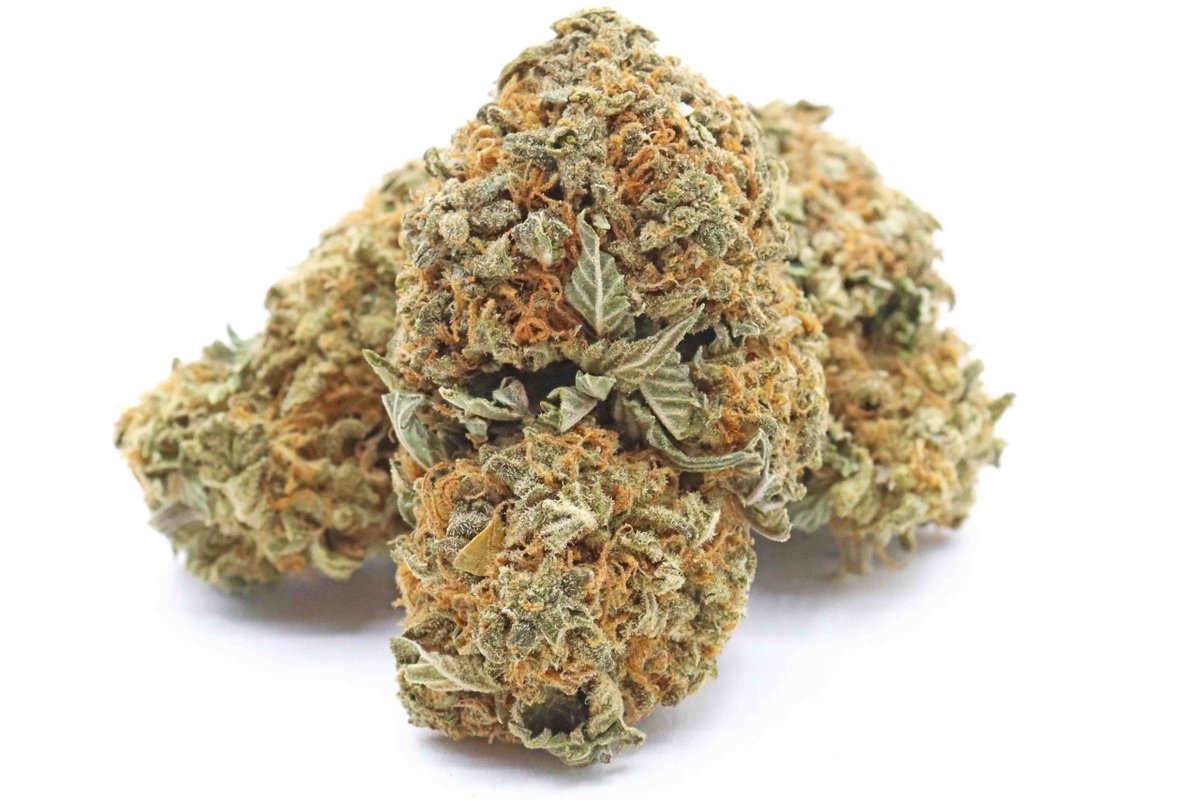 Cannatonic Strain – Hybrid Flower #cannabiscanada buff.ly/3VTK6ee
