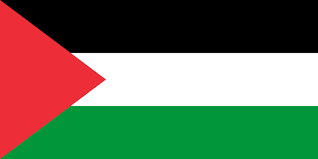 I think support for Palestine is overwhelming, but that most people don't say it. Like if you support them. RT if you want a Ceasefire Now.