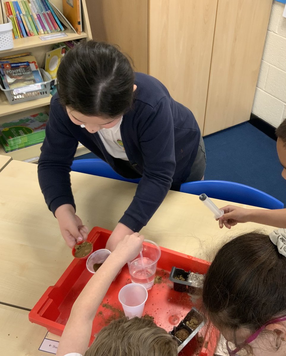 Year 3 applied their communication and co-operation skills excellently to create a fair test as a team - do you think think the seeds will flourish in the sandy, chalky or clay soil? #enquiry #communication #