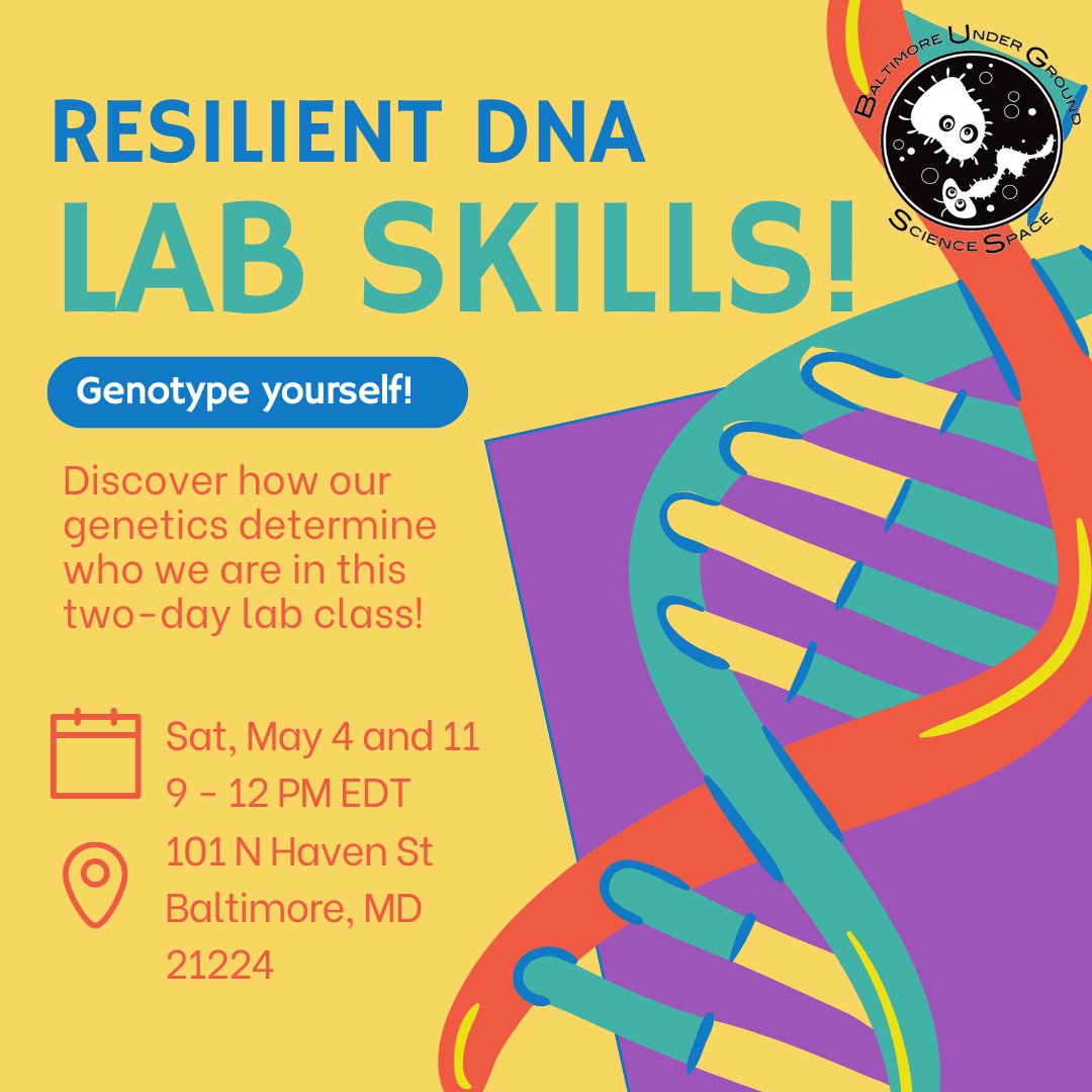 Feeling stressed? Maybe your genes are the culprit. Genotype yourself in this two-day BUGSS class and explore the relationship between genes and environment. tinyurl.com/22a69vnn #ClassParticipants #Environment #Genetics #Science #STEM #StressResiliency #Personality #Stress