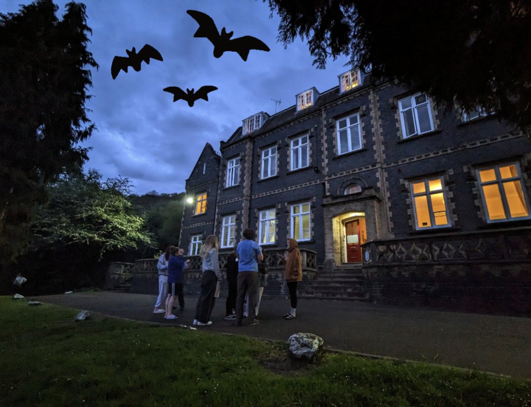 Ending the day with bat surveys around @YHAOfficial Coalbrookdale, Ironbridge Gorge. Lots of pipistrelles seen & identified by @WildlifeAcoust detectors 🦇 #universityfieldcourse #ecology #conservation #wildlife @SarahEDalrymple