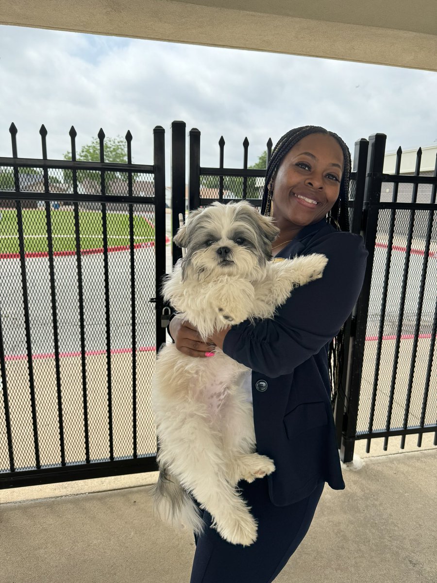 Never a dull moment in this principalship! Today this sweet friend joined us on the playground. We kept him safe until his owner was found! #WeareDegan #PrincipalLife #Doglover