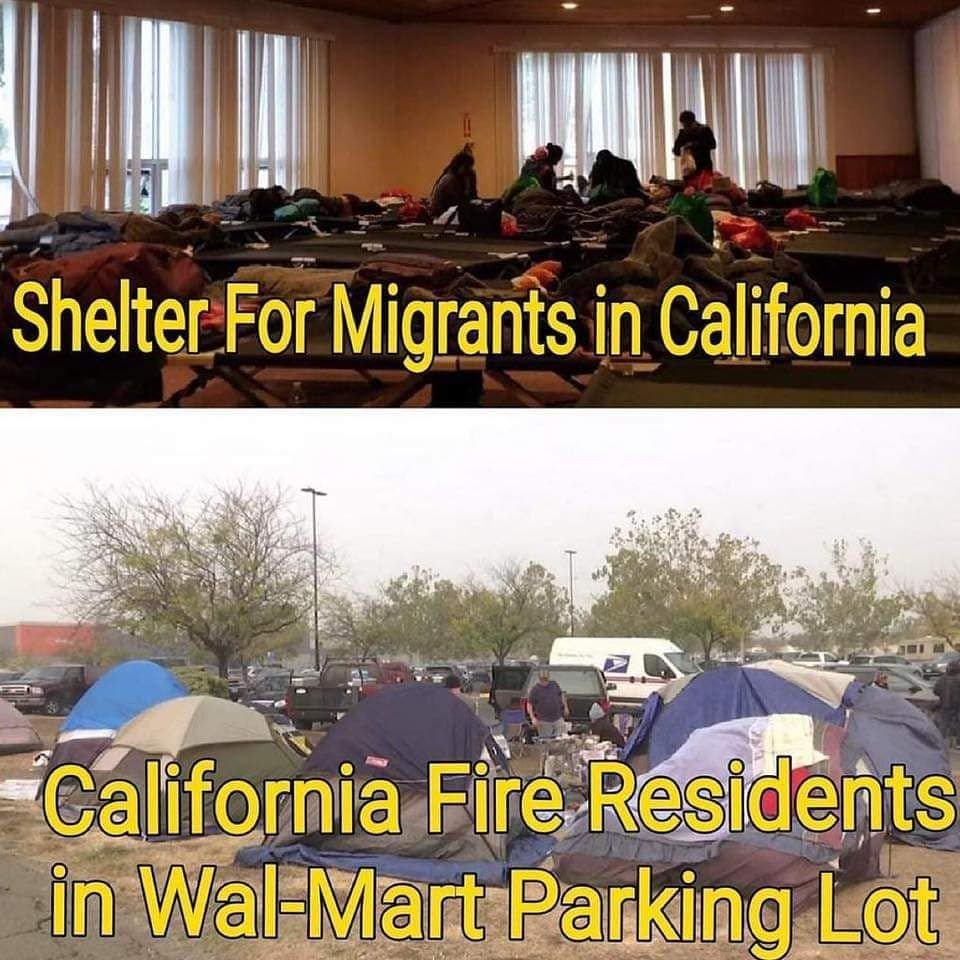 @GavinNewsom Ok, but how many minus the foreign illegal invaders?