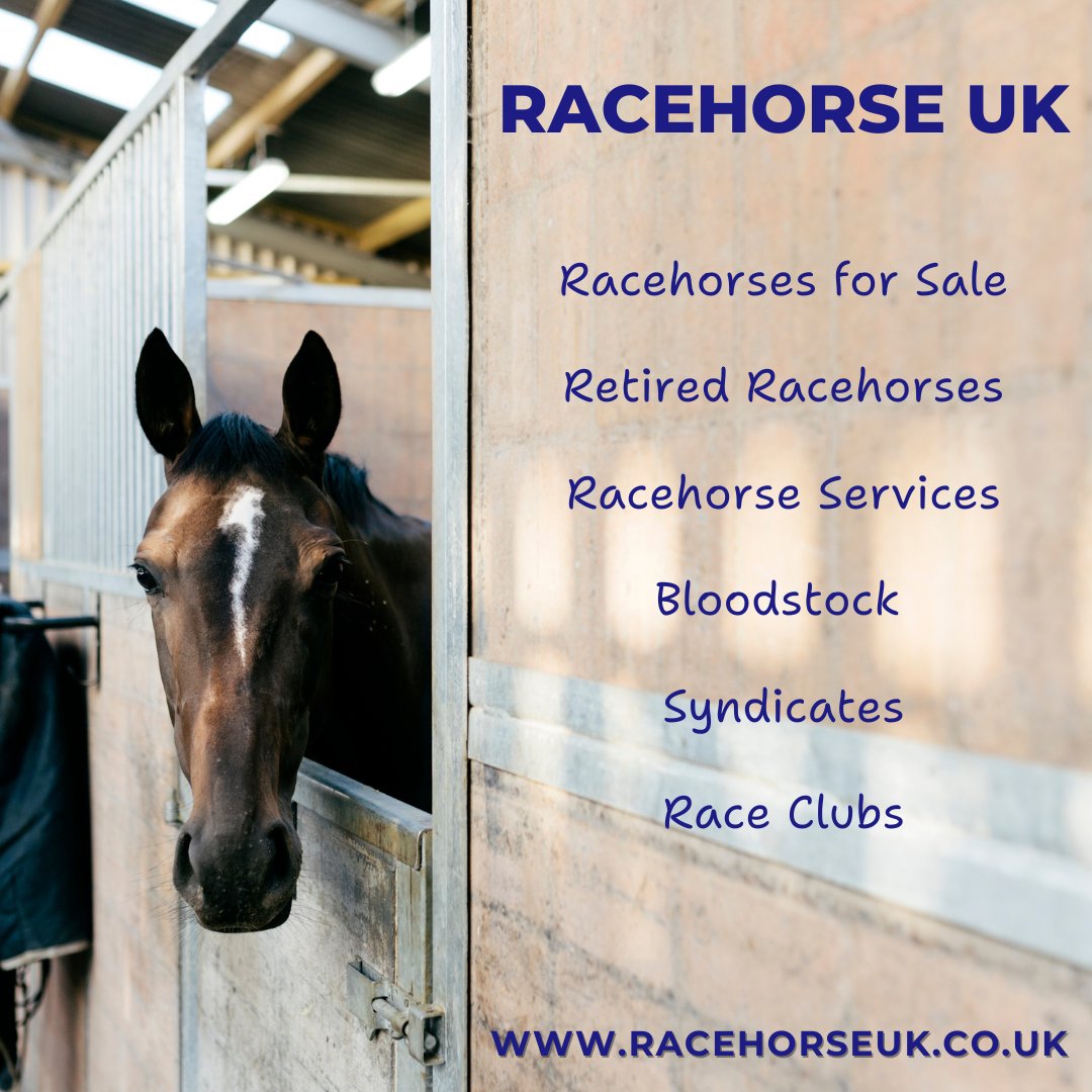 Racehorse UK offers 6 dedicated categories 👌  Get your listing noticed 👀  Visit racehorseuk.co.uk to start listings today ☀️  
#horseracing #syndicateshares  #retiredracehorse  #horseracingclub  #horseracingservices #racehorse #racehorses #dayattheraces #racehorsetrainer