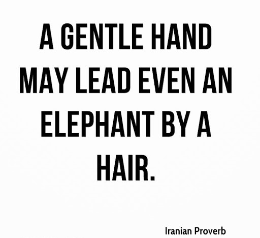 A gentle hand may lead even an elephant by a hair. #TuesdayMotivation #TuesdayThoughts #JoyTrain #IAM #IAmChoosingLove #Gentle #Elephant #GoalAchieversCommunity