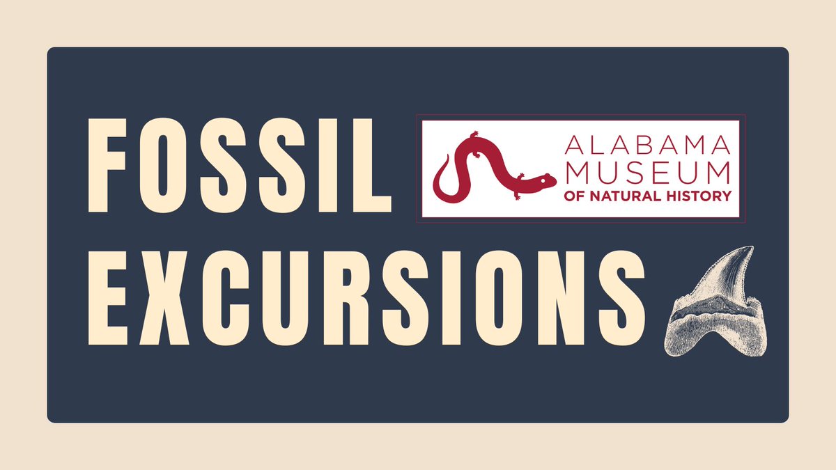 Travel to the Black Belt of #Alabama with the Alabama Museum of Natural History on one of our #Fossil Excursion day trips! We'll be in search of vertebrate and invertebrate fossils from the Cretaceous Age. REGISTER HERE: ➡️ bit.ly/3Mbf8c2 #Tuscaloosa #RollTide #Fossils