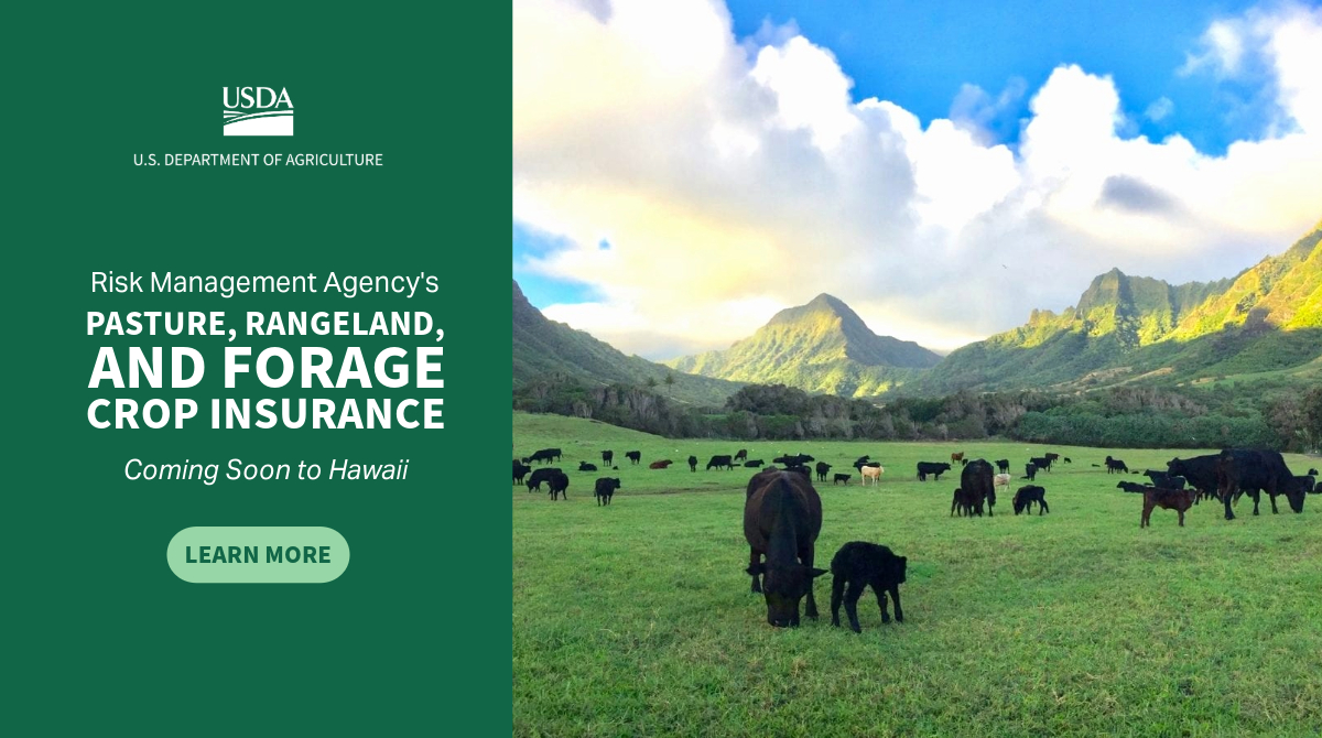 .@USDA is expanding Pasture, Rangeland, and Forage rainfall index insurance to include Hawaii beginning in 2025. Learn more: bit.ly/3UGwdOr