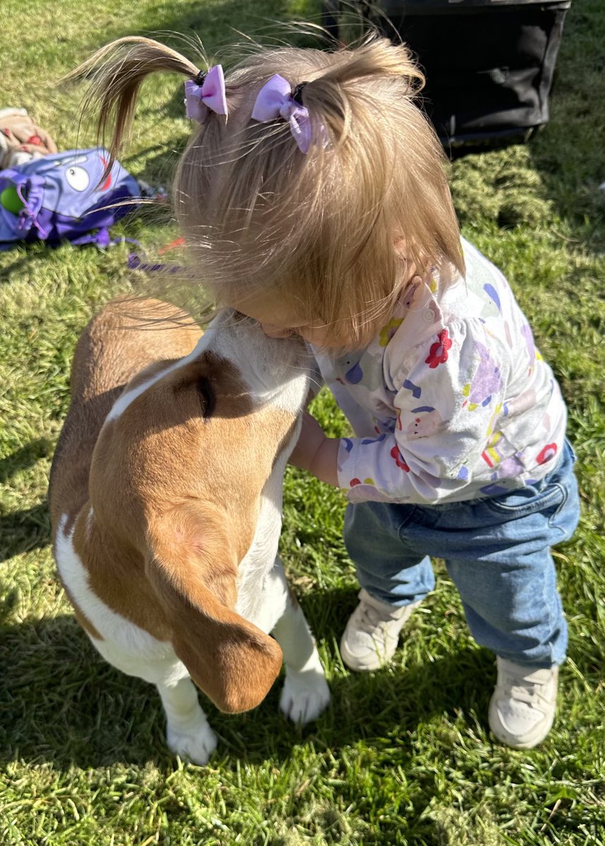 This picture melts me.  Pure, innocent, love. If only life was always like this. 😍
#granddaughters #beaglelove