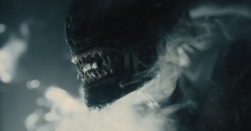 Here’s a fresh look at the Xenomorph in ‘Alien: Romulus.’ The film is scheduled to be released on August 16, 2024 (USA). 

#alienromulus #xenomorph #fedealvarez