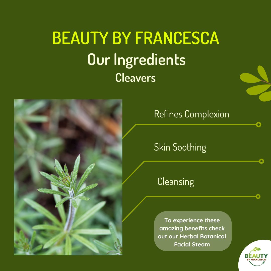 Cleavers are a common weed that earned its name due to its ability to stick to clothing!  It is known for its skin cooling and toning (yessss!) properties.

#naturalskincare #holisticskincare #allnaturalingredients #greenskincare