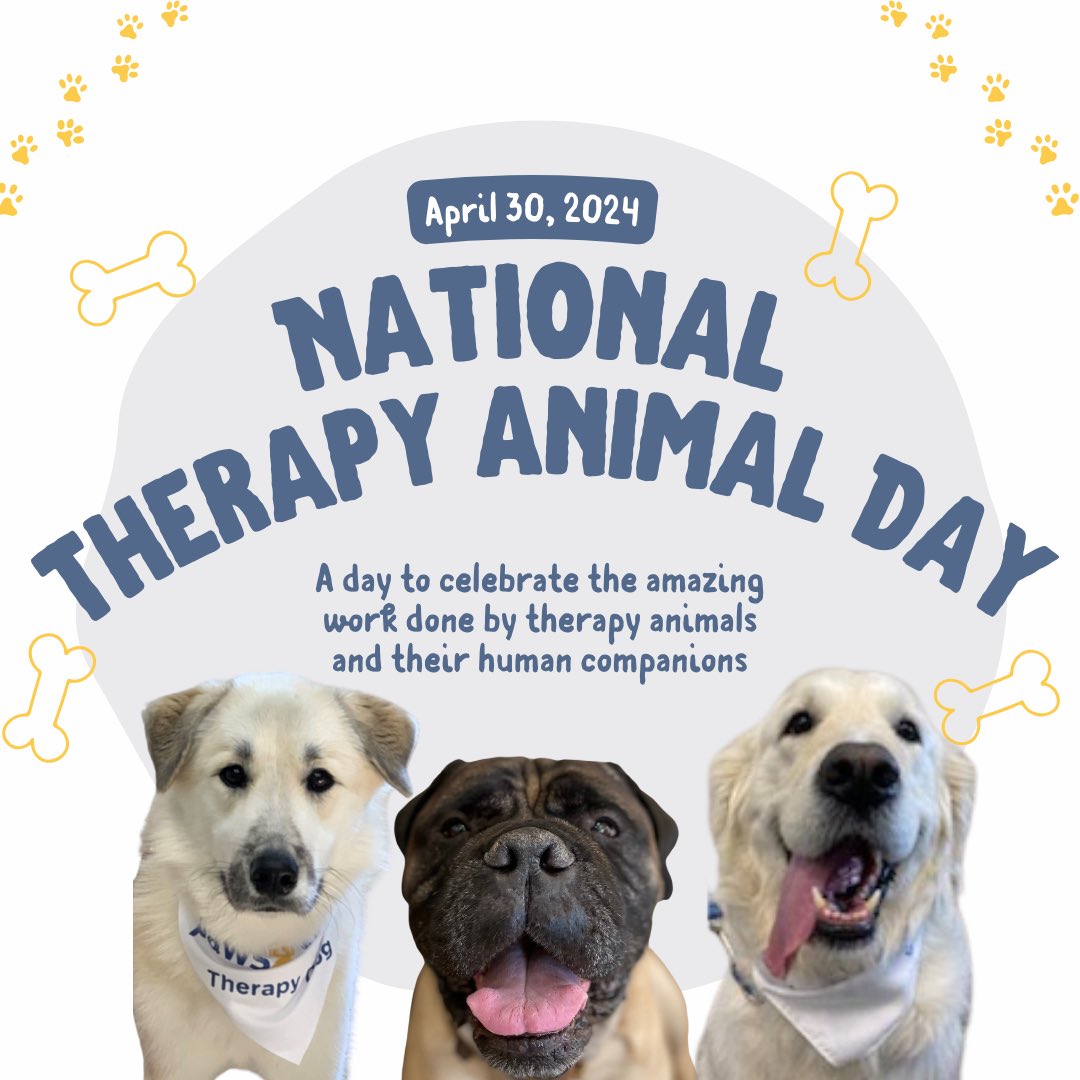Happy National Therapy Animal Day! 🐾
 
Today, we honor our Paws & Think therapy dogs and their handlers for their incredible dedication and the countless lives they impact within our community. 🐶💙 
 
#TherapyAnimalDay #HealingThroughConnection #PawsandThink