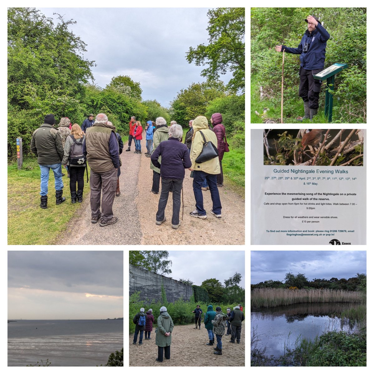 Moonlighting 🌜@EssexWildlife helping Ranger Alex run one of a series of evening Nightingale walks at #FingringhoeWick A very special evening, the birds were in fine voice & great to see so many enthusiastic visitors from Norfolk, London, Suffolk & across Essex 🤗