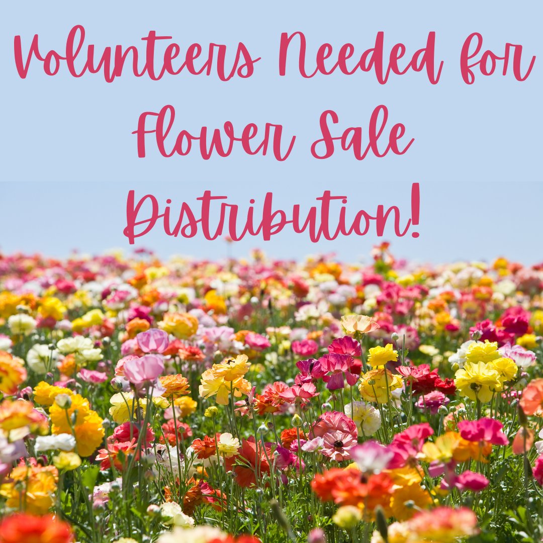 We need your help 💐🪻🌸 We are looking for some volunteers to assist with our spring flower sale distribution on May 21st! signupgenius.com/go/30E0B4FA8AA…