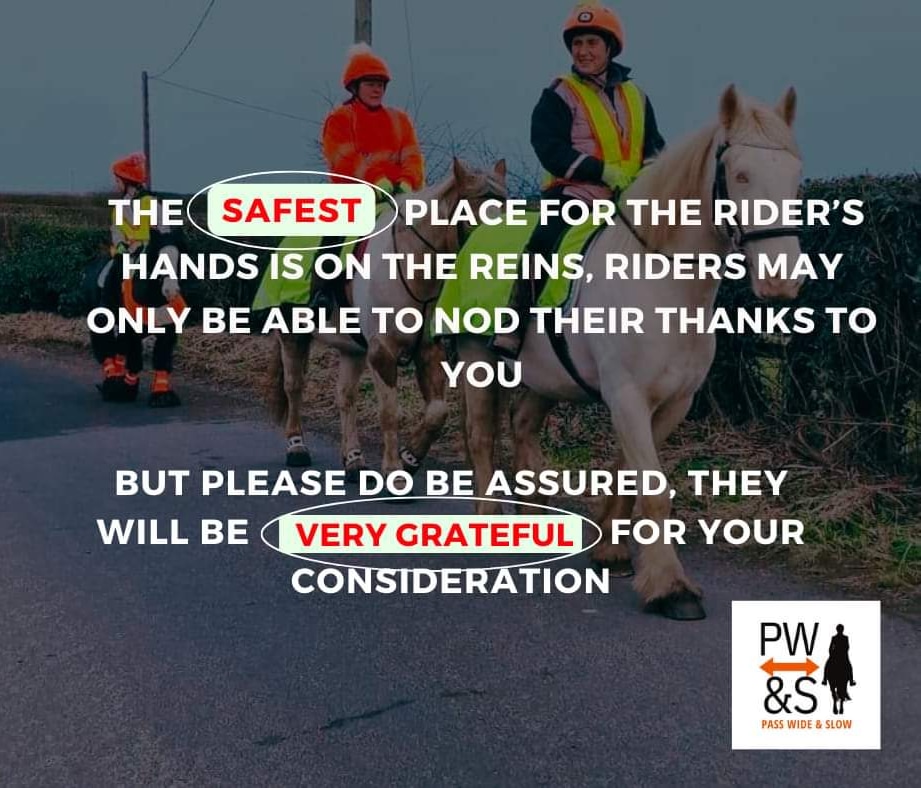 Sometimes as riders we can't take our hands of the reins... We may feel our horse behave differently, or see a potential threat over the hedge or further up. We are always over the moon even if we can't always show it. #horses #equestrians #drivers #awareness