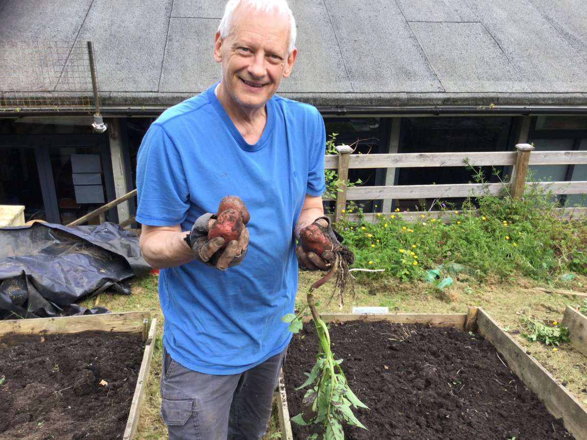 Twerton Infants tweet media