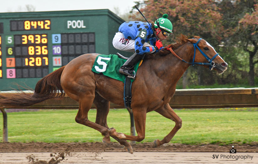 She is absolutely a Ray of Sunshine. This is Little Ms Sunshine who raises her lifetime record to a perfect four-for-four winning today's featured seventh race. Emanuel De Diego was in the saddle for trainer Rick Shaffer.