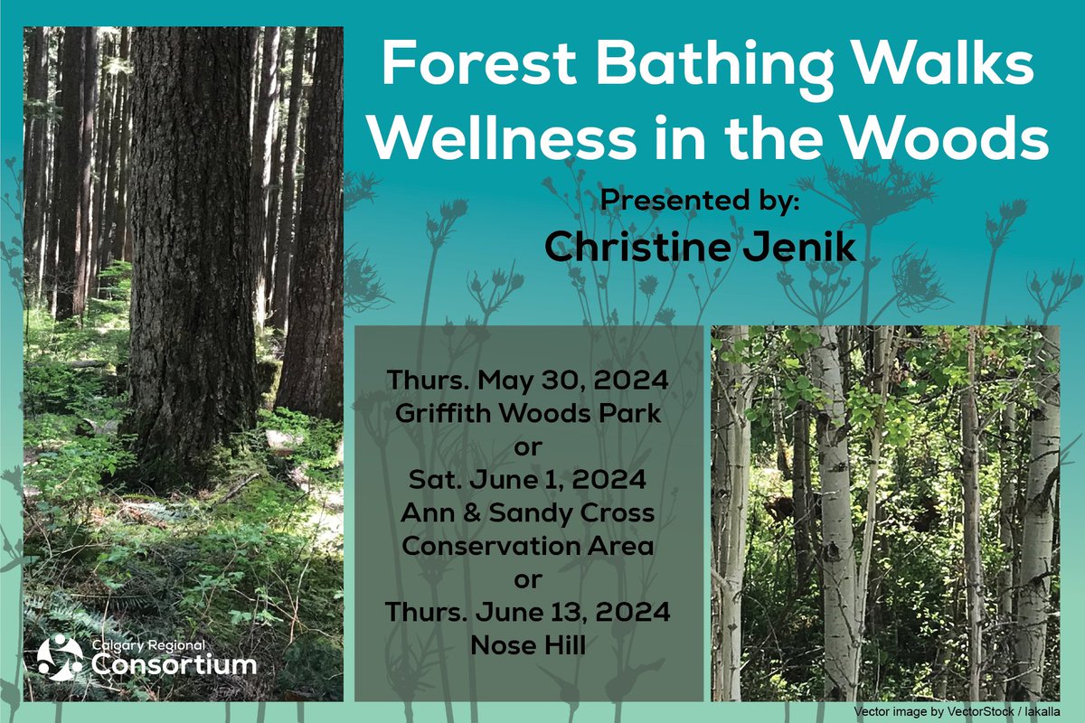 🍃🪻Refresh your mind and renew your spirit! Join certified Forest Therapy Guide Christine Jenik to experience the health benefits of a forest bathing walk. Sign up today! bit.ly/crcpdforestbat…